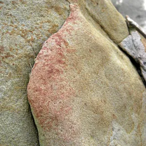 Sandstone boulders in the Desert Section