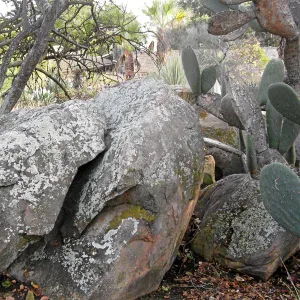 Sandstone boulders in the Desert Section