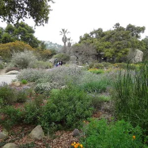 Lower Meadow with Desert Section in background