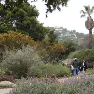 Docent Tour, Desert Section
