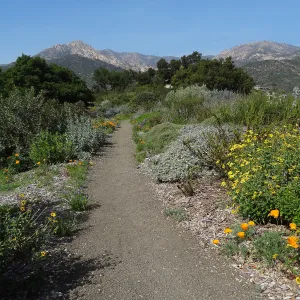 Porter Trail with view to La Cumbre Peak