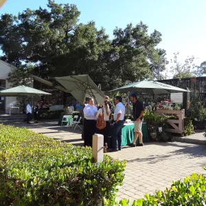 SBBG hosts Santa Barbara Chamber of Commerce Mixer, June 2013