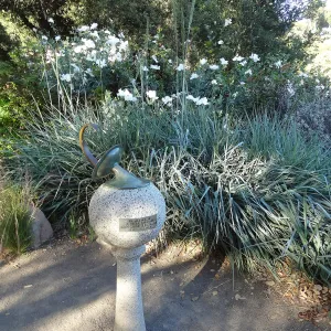 Sundial, Meadow border, SBBG