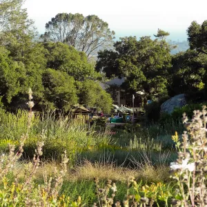 View from top of Meadow to the Courtyard and Blaksley Library, SBBG