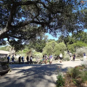 Student tour, Desert Section, Garden Entrance, SBBG