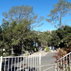 Student group arriving at the Garden Entrance, SBBG