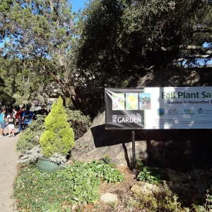 Fall Plant Sale 2013, banner at Garden entrance, SBBG, school children arriving for School Tour