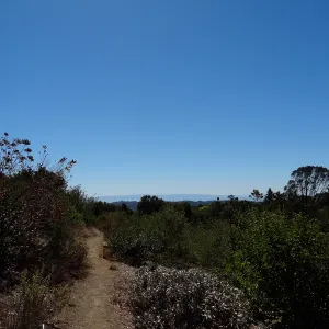 View to the Channel Islands from the Porter Trail, SBBG