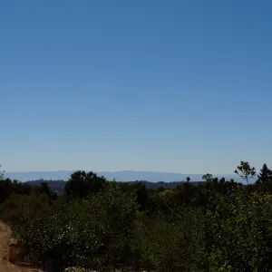 View to the Channel Islands from the Porter Trail, SBBG