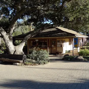 Garden Shop, Garden Entrance, wood bench, entrance oak, SBBG
