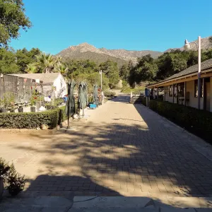 SBBG Fall Plant Sale 2013 set up in the Garden Courtyard and Garden Growers Nursery