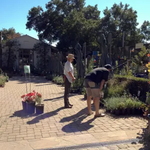 SBBG Fall Plant Sale 2013, Paige Minney with customer