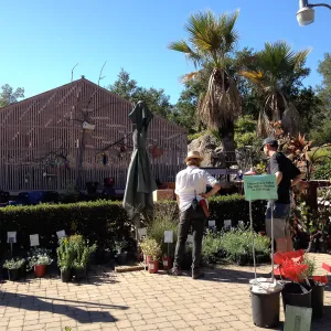 SBBG Fall Plant Sale 2013, Paige Minney with customer