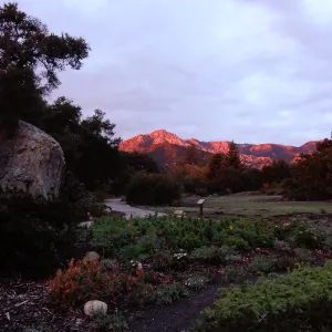 SBBG 20th Annual Holiday Marketplace 2013, sunset