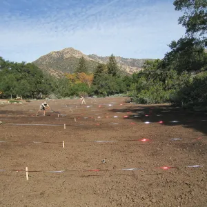 Raking Lupine Seeds into Soil, Meadow Restroration Project