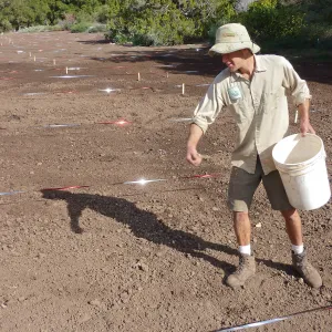 Sowing wildflower seed mixed with sand, Meadow Revival Project
