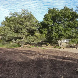 Lower end of Meadow, Meadow Revival Project