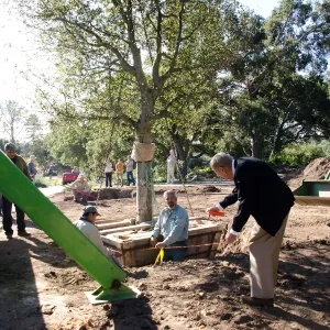 New oaks (Coastal Live Oak) arrive at SBBG, Meadow Oaks, Kellam de Forest checks measurements
