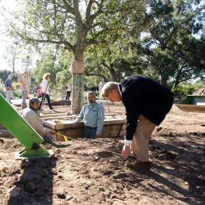 New oaks (Coastal Live Oak) arrive at SBBG, Meadow Oaks, Kellam de Forest checks measurements