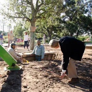 New oaks (Coastal Live Oak) arrive at SBBG, Meadow Oaks, Kellam de Forest checks measurements