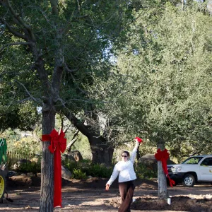 Red ribbons, new oaks arrive at SBBG, Meadow Oaks, Joni Kelly