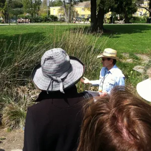 Docent field trip to La Brea tar pits, George C. Paige Museum, La Brea Discoveries