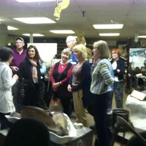 Docent field trip to La Brea tar pits, George C. Paige Museum, La Brea Discoveries