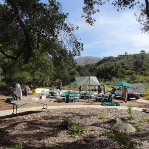 Set up undrer the Meadow Oaks, Volunteer Appreciation event 2012