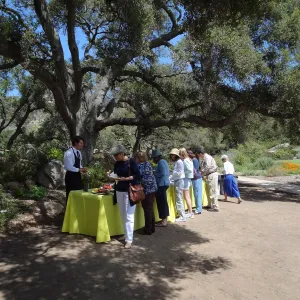 Volunteer Appreciation event 2012
