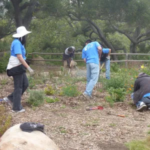 Volunteers from Citrix, Dirty Hands Brigade