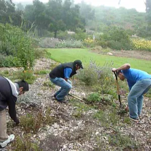 Volunteers from Citrix, Dirty Hands Brigade