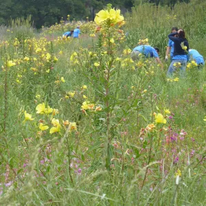 Volunteers from Citrix, Dirty Hands Brigade