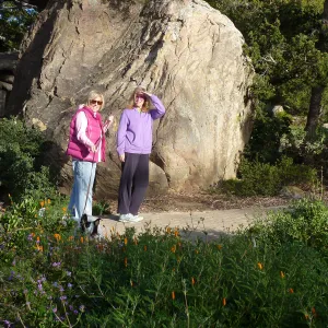 Visitors with dogs on leash
