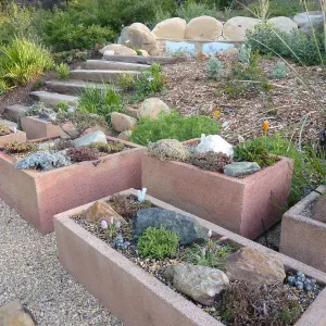 Trough gardens, Meadow View