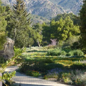 walkway along the Meadow border, Blaksley Boulder