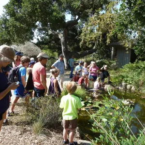 Creek Critters, childrens class