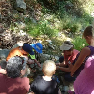 Creek Critters, childrens class