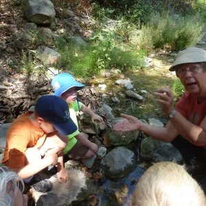 Creek Critters, childrens class