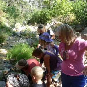 Creek Critters, childrens class