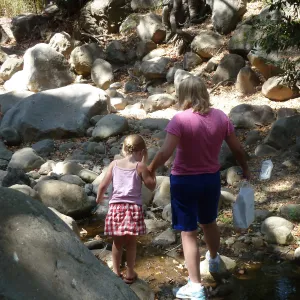 Creek Critters, childrens class