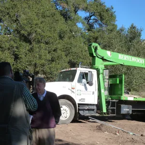 Delivery and placement of two new oak trees (Coastal Live Oak) in the Meadow Oaks display