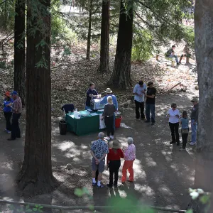 Santa Barbara Beer Garden Event, Redwood Section