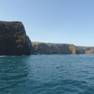 Steve Junak Retirement Trip to Santa Cruz Island