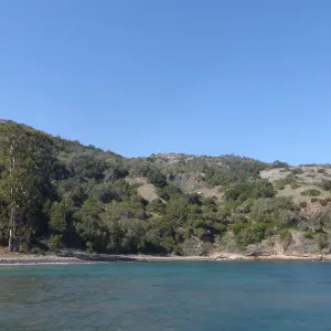 Steve Junak Retirement Trip to Santa Cruz Island