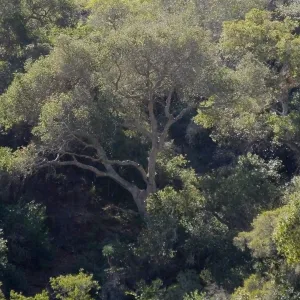 Steve Junak Retirement Trip to Santa Cruz Island