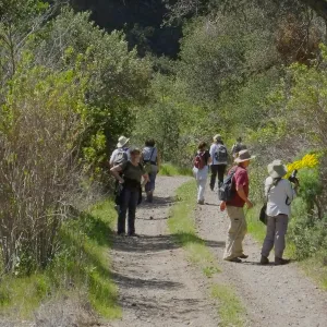 Steve Junak Retirement Trip to Santa Cruz Island