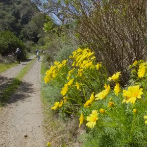 Steve Junak Retirement Trip to Santa Cruz Island