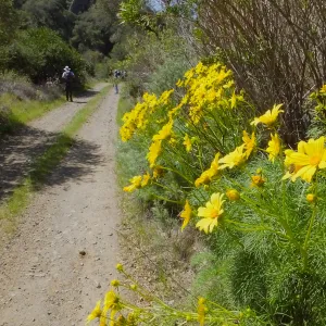 Steve Junak Retirement Trip to Santa Cruz Island