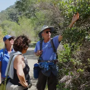 Steve Junak Retirement Trip to Santa Cruz Island