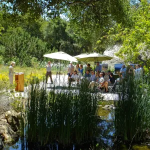 Central Coast Heritage Protection Act Press Conference